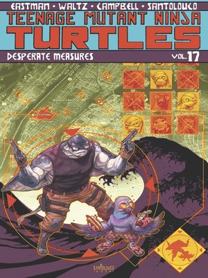 cover image of Teenage Mutant Ninja Turtles (2011), Volume 17